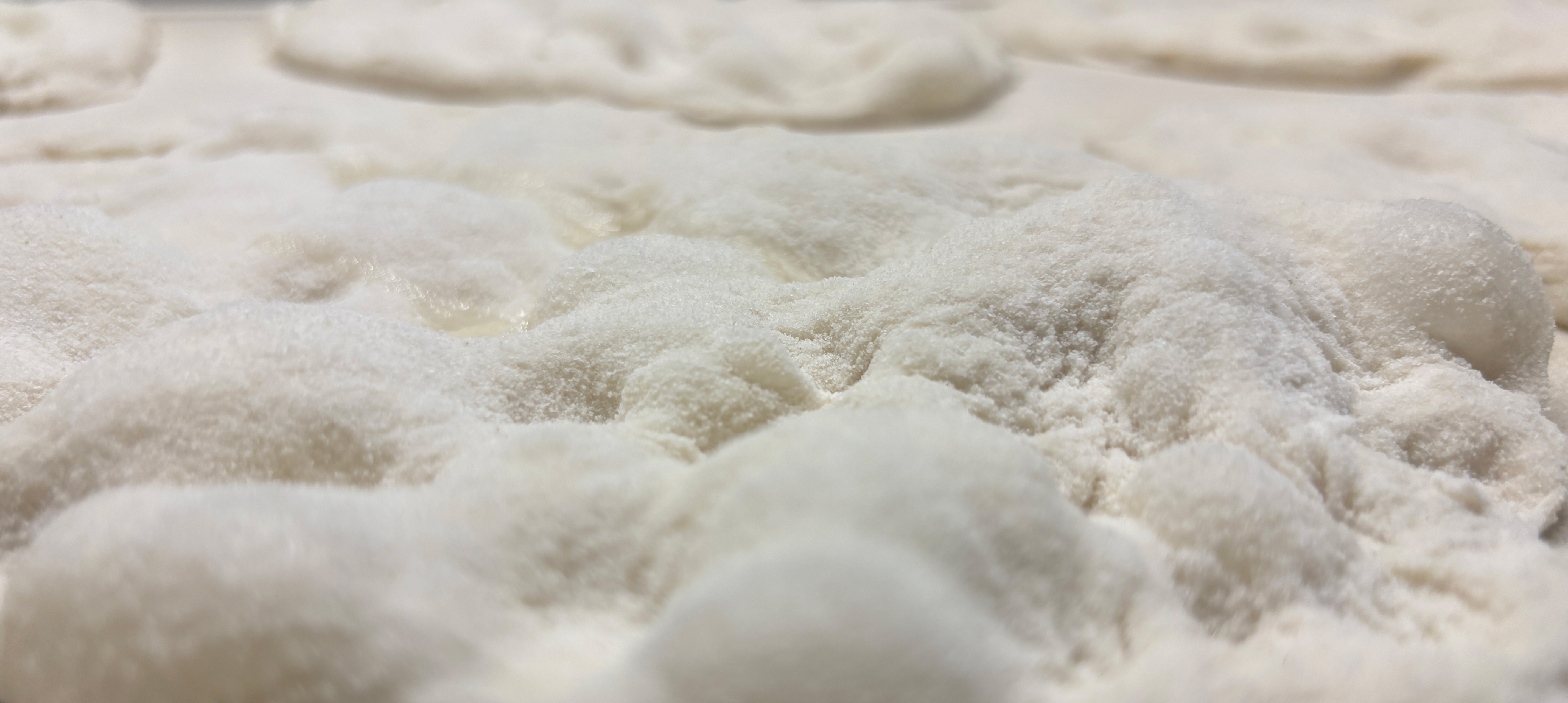Eccellenza pinsa, alveoli impasto pinsa Brotto
